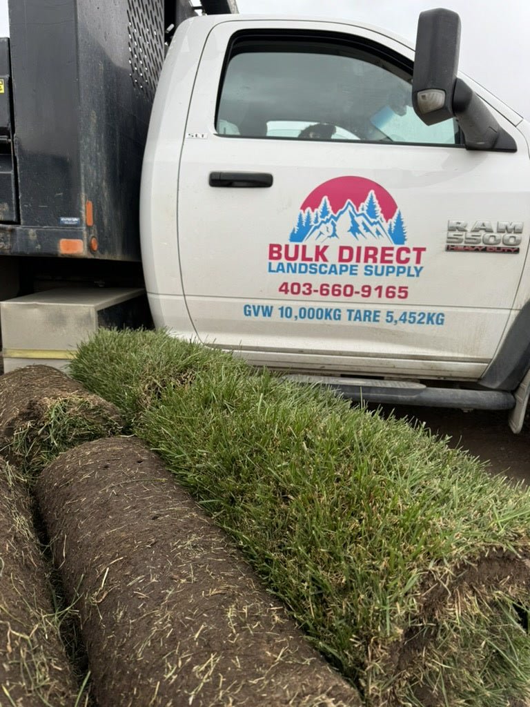 Kentucky Bluegrass Sod For Sale Calgary 