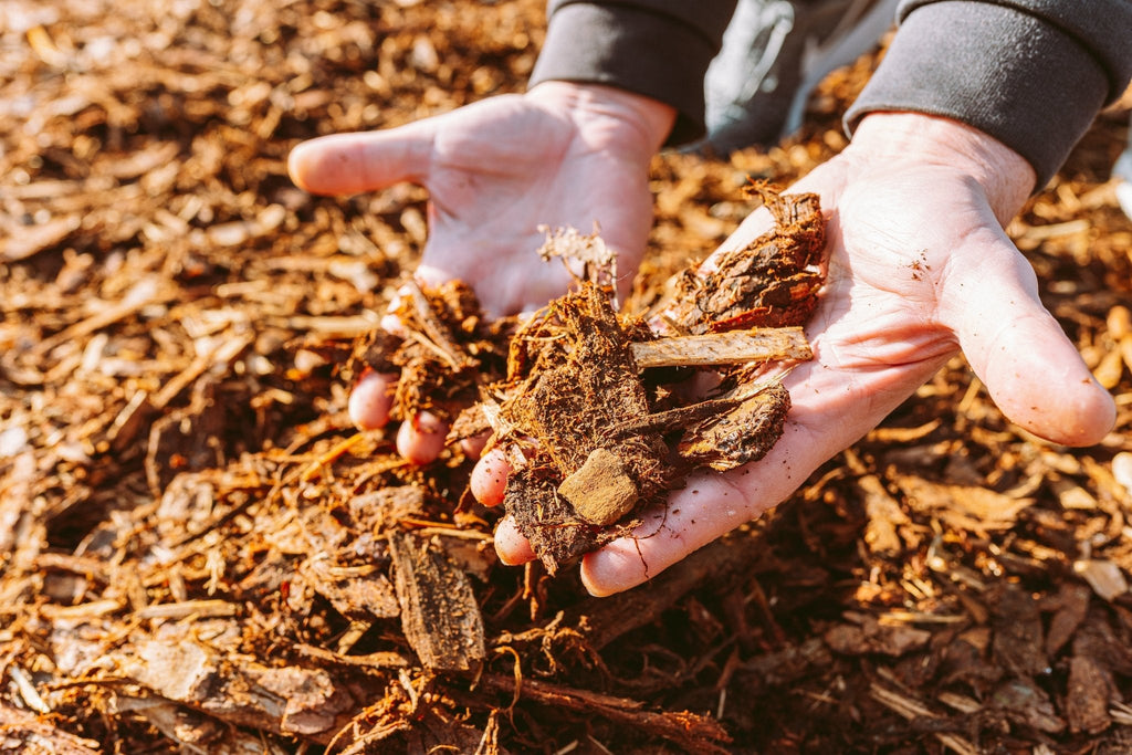 backyard landscaping hands holding mulch 