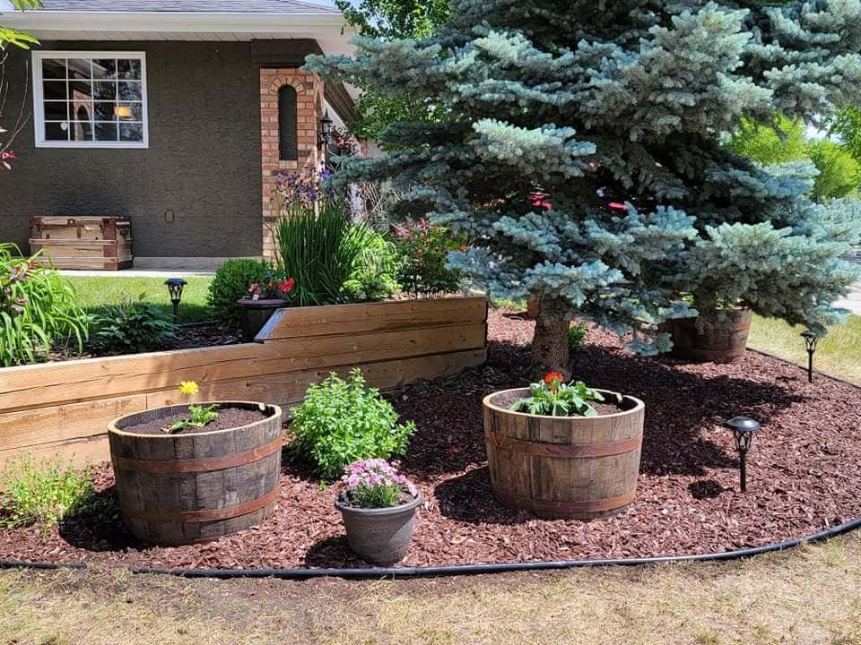 planters forsale near me 