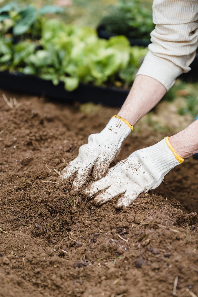 garden soil near me 